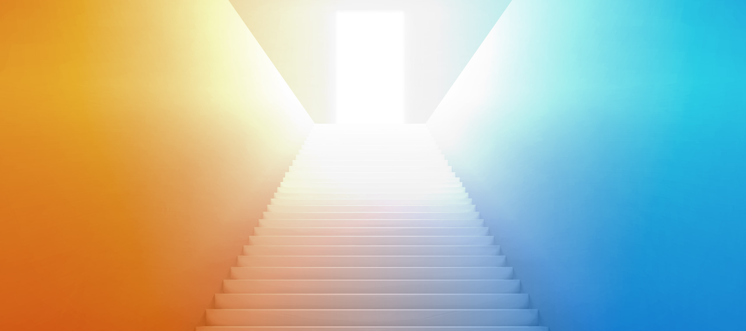 メインイメージ